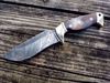 Custom 10" Damascus Skinner Knife w/Brass Bolters and Desert Ironwood Handes